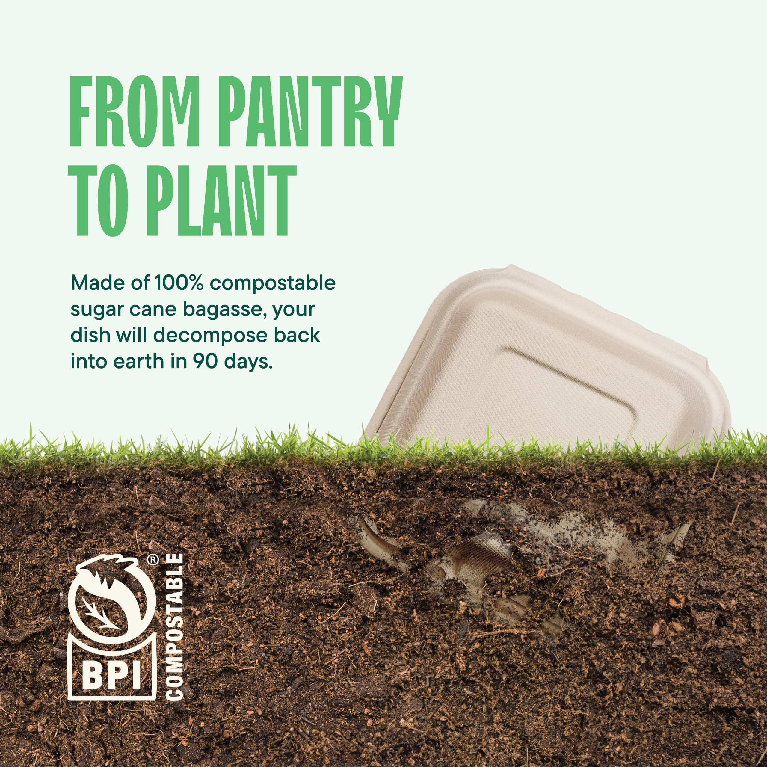 100% Compostable Clamshell Take Out Food Containers [6x6
