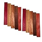 Pen Blank 10 Pack - Purple Heart, Zebrawood, Sapele, Walnut, Padauk