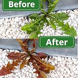 WeedKil Fast Acting Weed Killer 5L Glyphosate Free Safe When Dry view 2