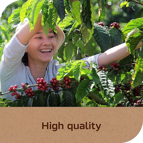 NESCAFÉ TASTER’S CHOICE, INSTANT COFFEE PACKETS, LIGHT MEDIUM ROAST COFFEE, HOUSE BLEND, 1 BOX (6 PACKETS)