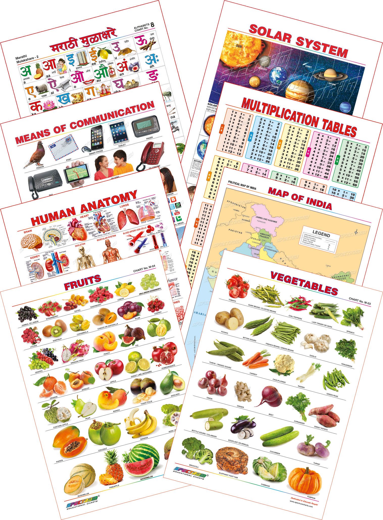 Buy Spectrum Educational Mini Wall Chart Set Of 8 Set 23