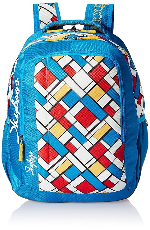 skybags price in amazon