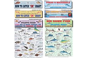TIGHTLINES PUBLICATIONS Florida Saltwater Fish Identification Chart Set - Waterproof Quick Reference Fishing Guides - 80+ Species ID - Double-Sided & Easy to Read - Great Gift for Beginners