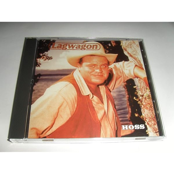 Amazon.com: Duh: CDs & Vinyl