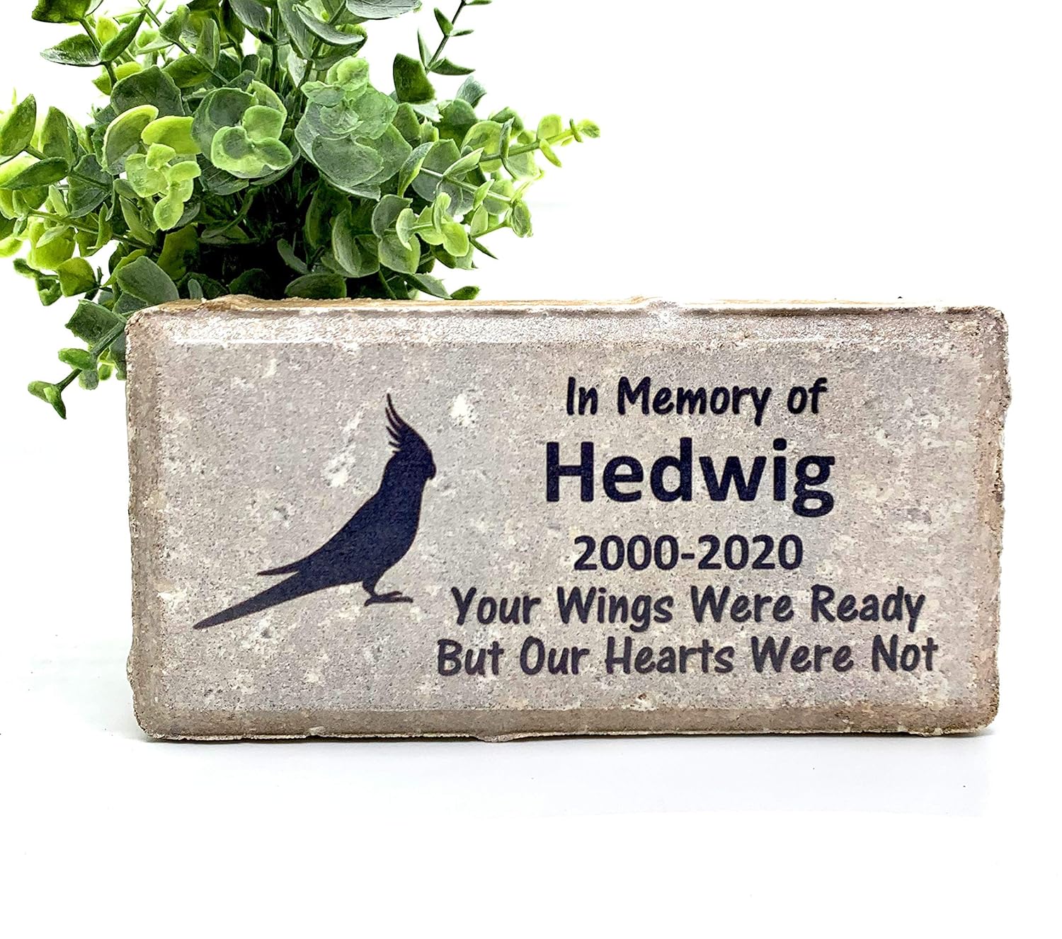 golden endings rescue