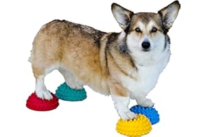 FitPAWS Paw Pods for Dog Agility