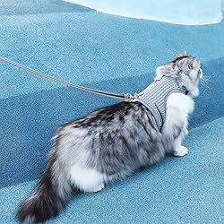 pangdi Cat Harness and Leash Escape Proof Cat Leash