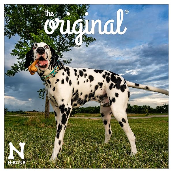 N-BONE 3.2-OUNCE THE ORIGINAL BAGGED BONE TREAT FOR DOGS, LARGE, CHICKEN FLAVOR