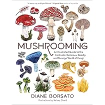 91taDJDYb0L._AC_UL210_SR210,