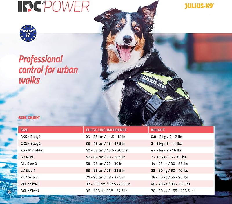 Pettorina IDC Power, Taglia: XL/2, Xmas Sweater - Limited Edition