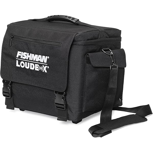 Amazon.com: Fishman Loudbox Micro Padded Cover : Musical Instruments