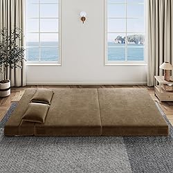 Luoxiao Folding Sofa Bed Queen with 2
