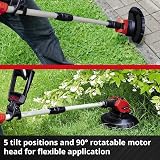 Einhell Cordless Strimmer 18V Power X-Change 24 cm Cutting Width view 6