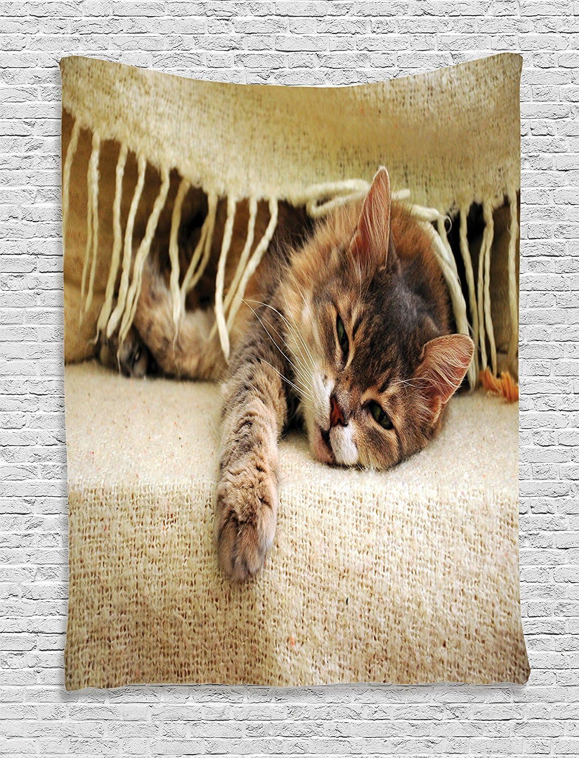 iPrint Cat Lover Collection Cat Sleeping under Blanket