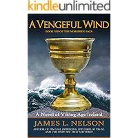 A Vengeful Wind: A Novel of Viking Age Ireland (The Norsemen Saga Book 8) book cover