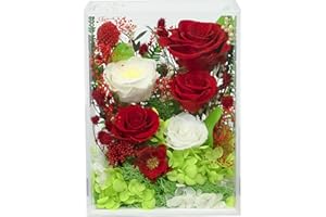Valley of Rain & Forest Long-Lasting Real Flowers, Handcrafted Preserved Rose Bush For you to Send Love for All Occasions, Fl