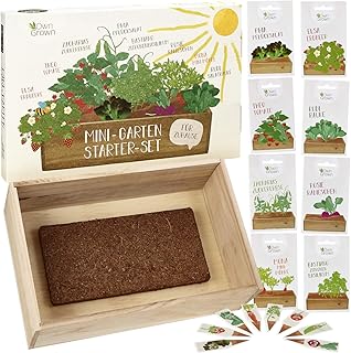 Saatgut Anzuchtset mit Holzkiste und 8 Sorten Pflanzen Samen: Kinder Anzuchtset Pflanzen mit Gemüse Samen, Erdbeeren Samen und Kräuter Samen – Mini Gewächshaus und Mini Garten Starter Kit von OwnGrown