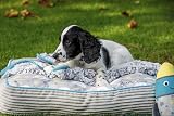 Petface Little Petface Dream Big Comforter Blanket for Puppies view 5