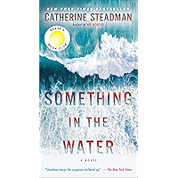 Something in the Water: A Novel book cover