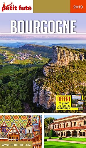 Download Petit Futé Bourgogne PDF