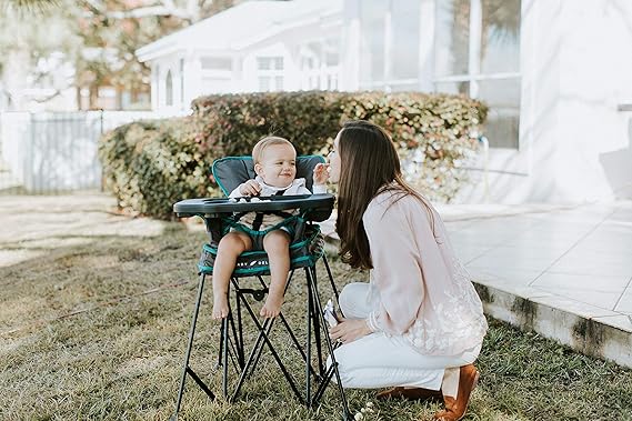 baby delight go with me portable high chair