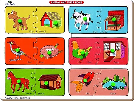 Little Genius Animal and Their Home