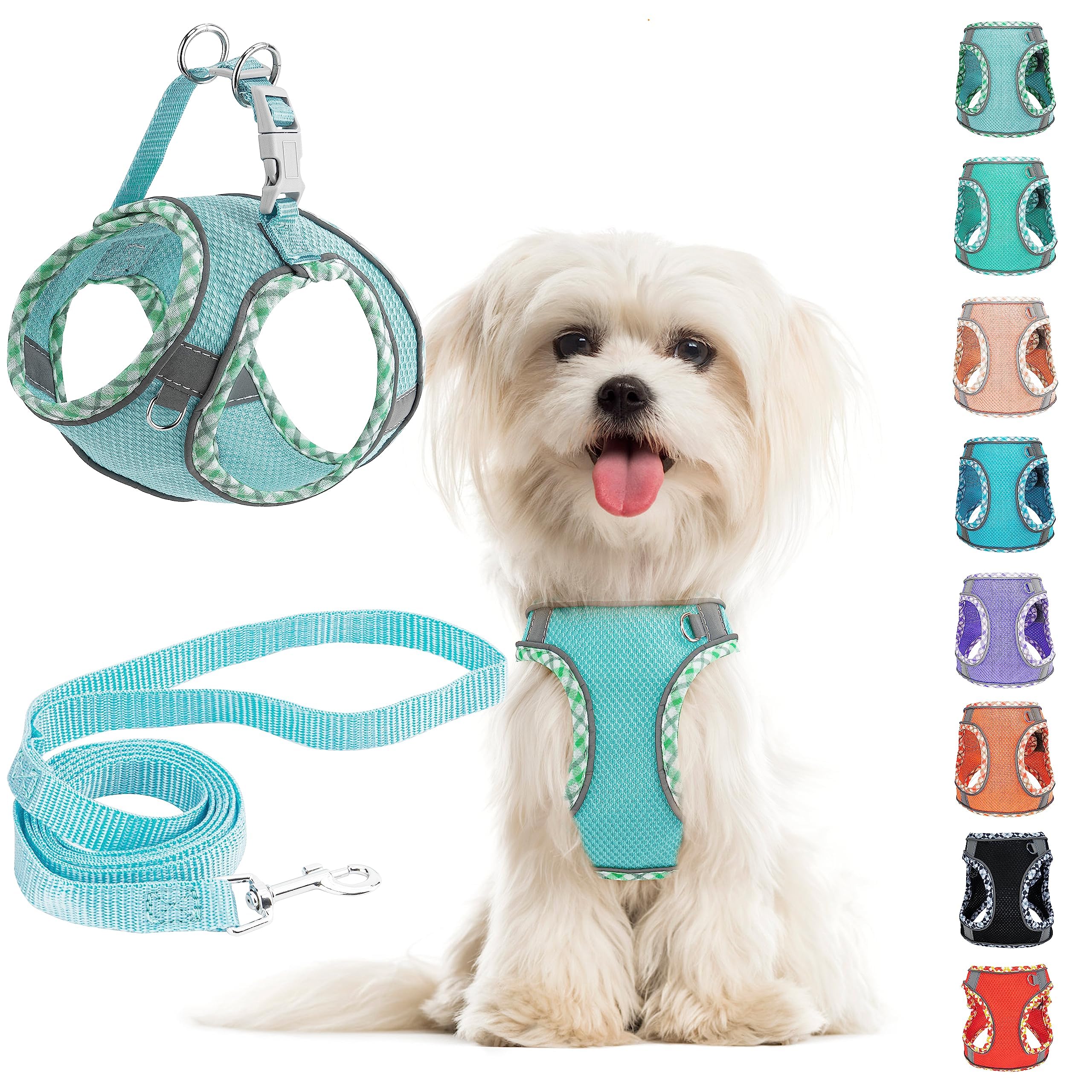 No Pull Dog Harness and Leash Set - Adjustable Reflective Breathable Mesh Step in Easy Walk for Extra Small/Small Medium Dogs Cats Puppy (Blue, XS)