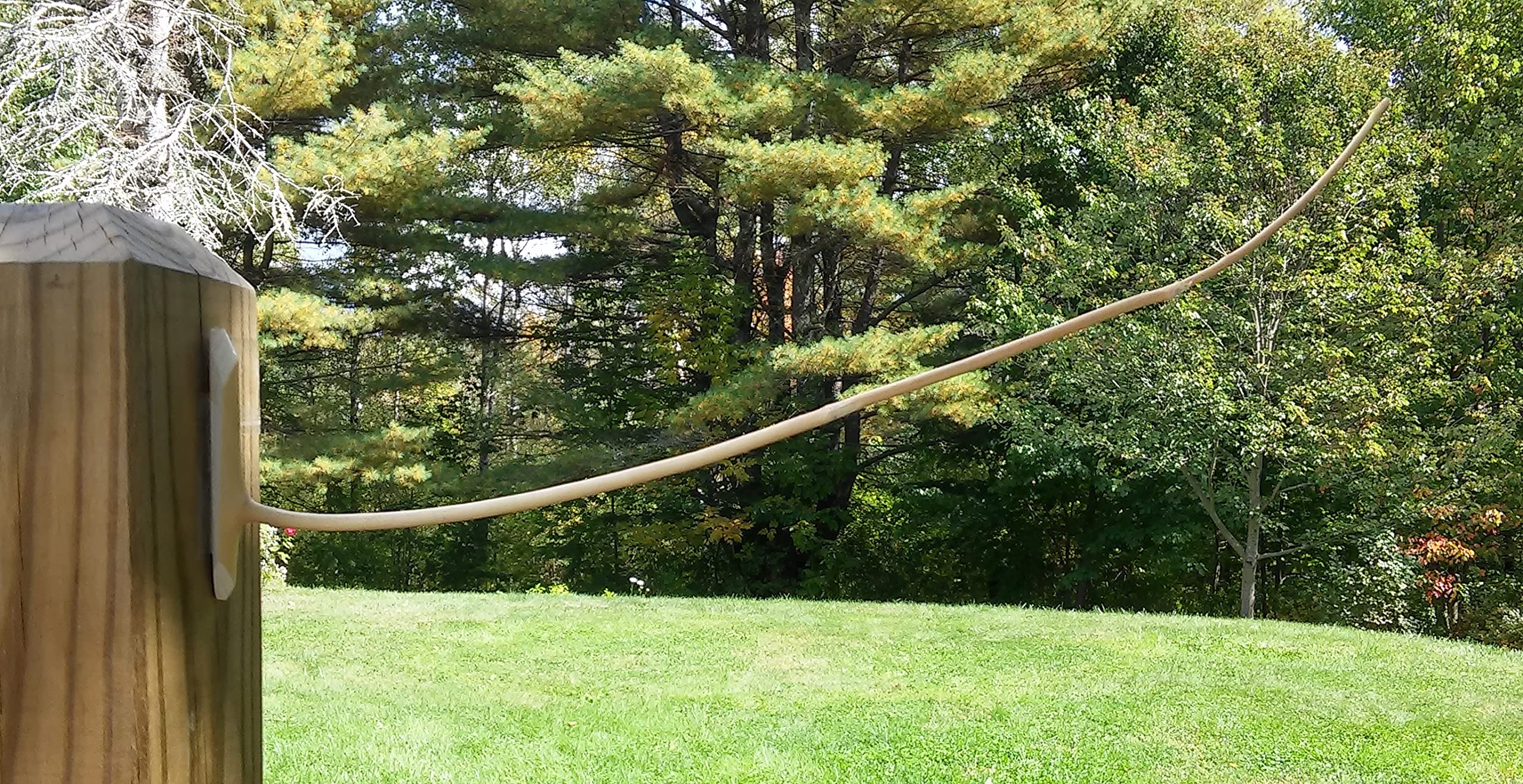Photo 1 of The Canadian Weatherstick
