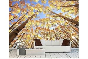 wall26 - Aspen Trees with Fall Color, San Juan National Forest, Colorado, USA - Removable Wall Mural | Self-Adhesive Large Wallpaper - 100x144 inches