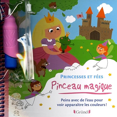 Download Pinceau magique - Princesses et Fées PDF