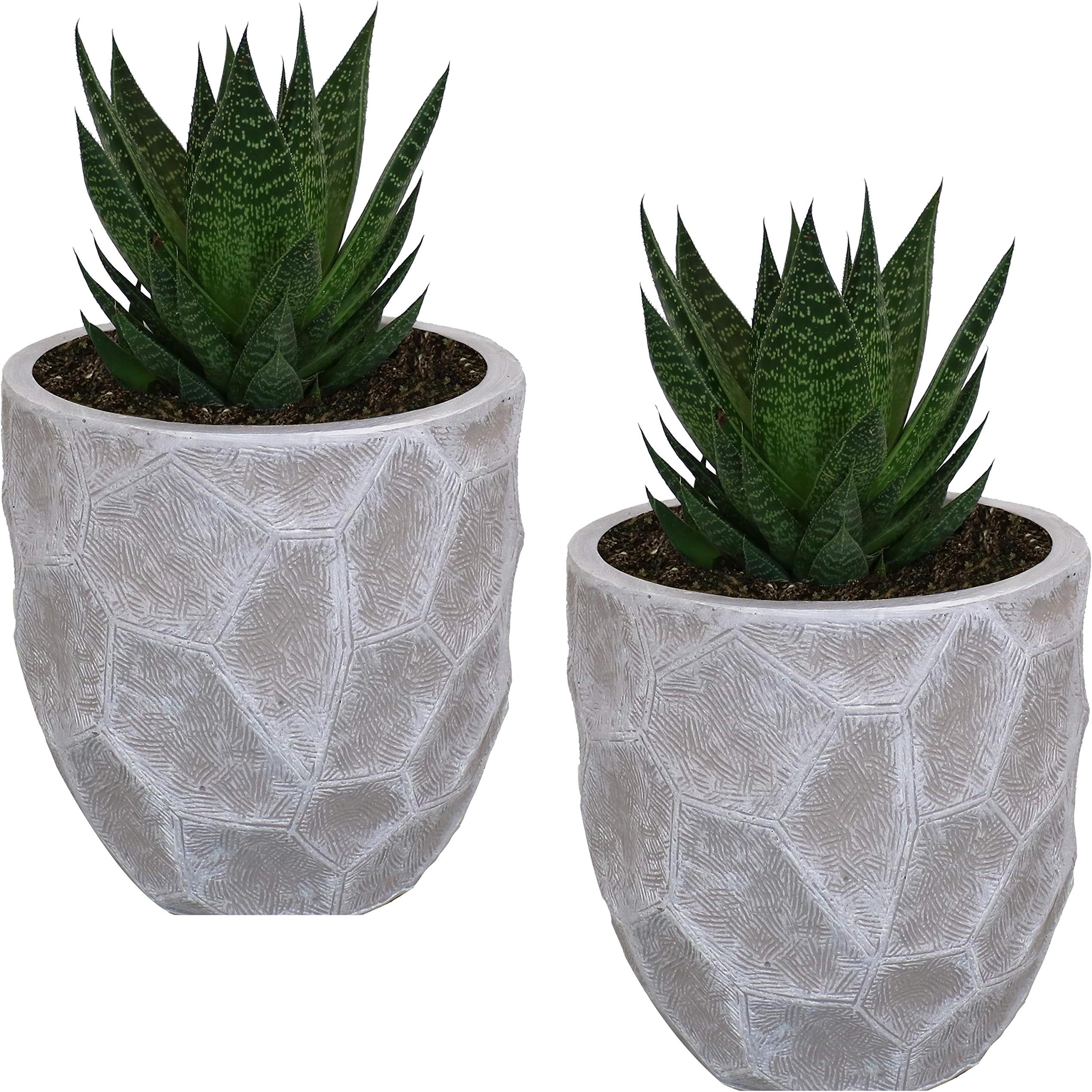 Sunnydaze Homestead Fiber Clay Planter Flower Pot, Durable Indoor/Outdoor 9-Inch Set of 2, Light Gray Carved Stone