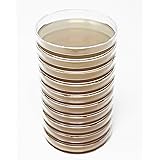 EZ BioResearch Malt Extract Agar (MEA) Plates for Mushroom Cultivation (10 Prepoured Agar Plates)