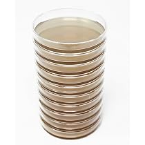 10 Boîtes De Pétri Avec Gélose Nutritive Pré-remplies 7 Cm - Pour Expériences Scientifiques Et Cultures En Labo