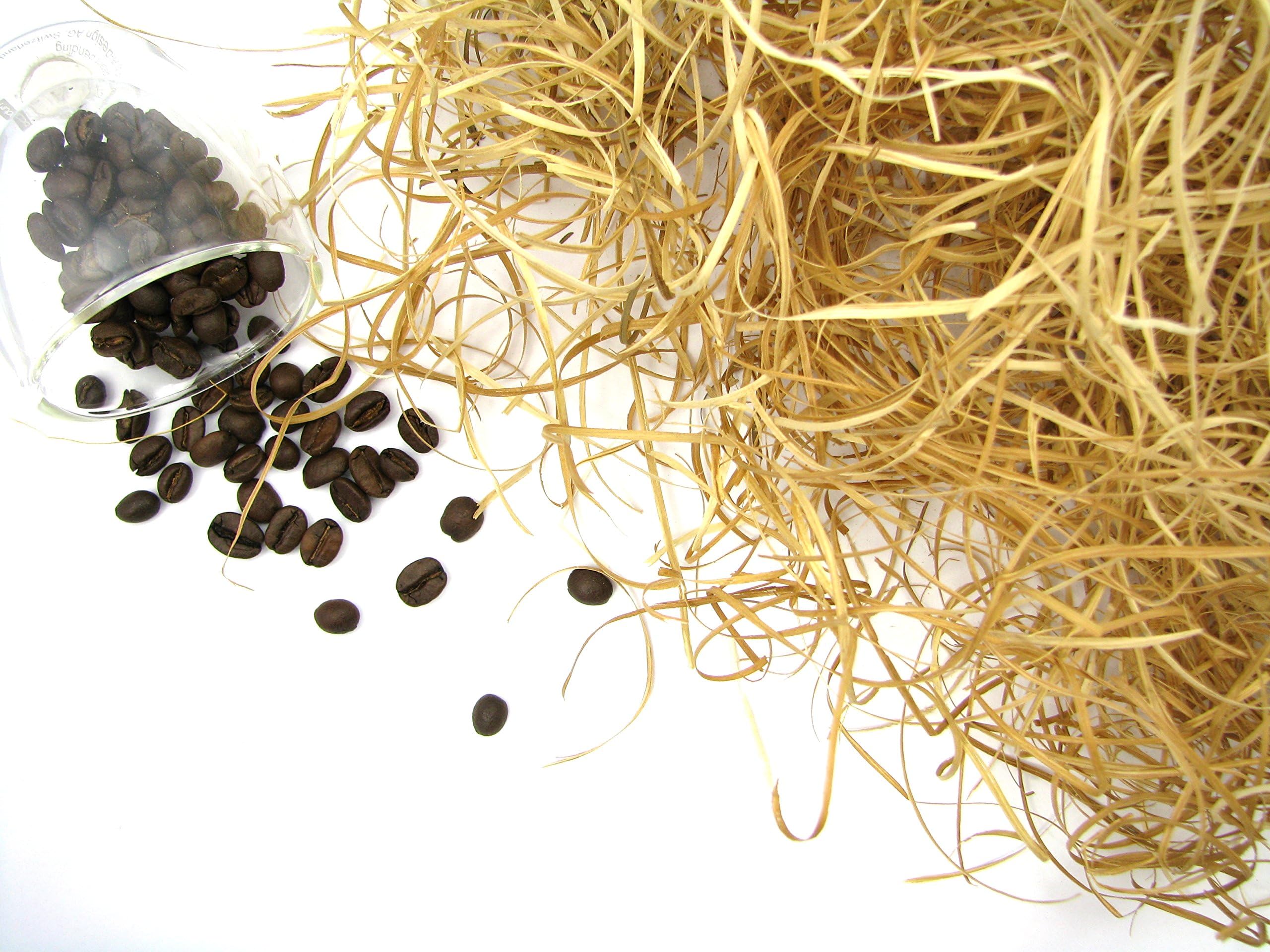 Decorative Packaging - Wood Wool Colour Oak (200 g) ideal for Hamper Deli Gift box filling and Gift Baskets (Oak)