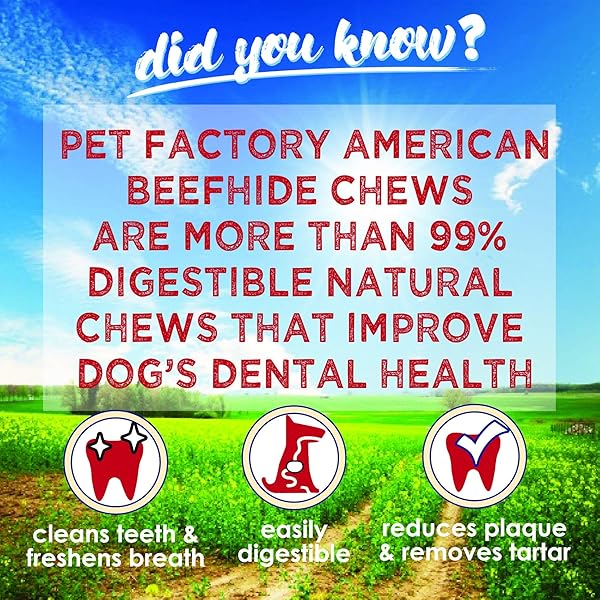PET FACTORY AMERICAN BEEFHIDE CHIPS CHICKEN FLAVORED – 22OZ