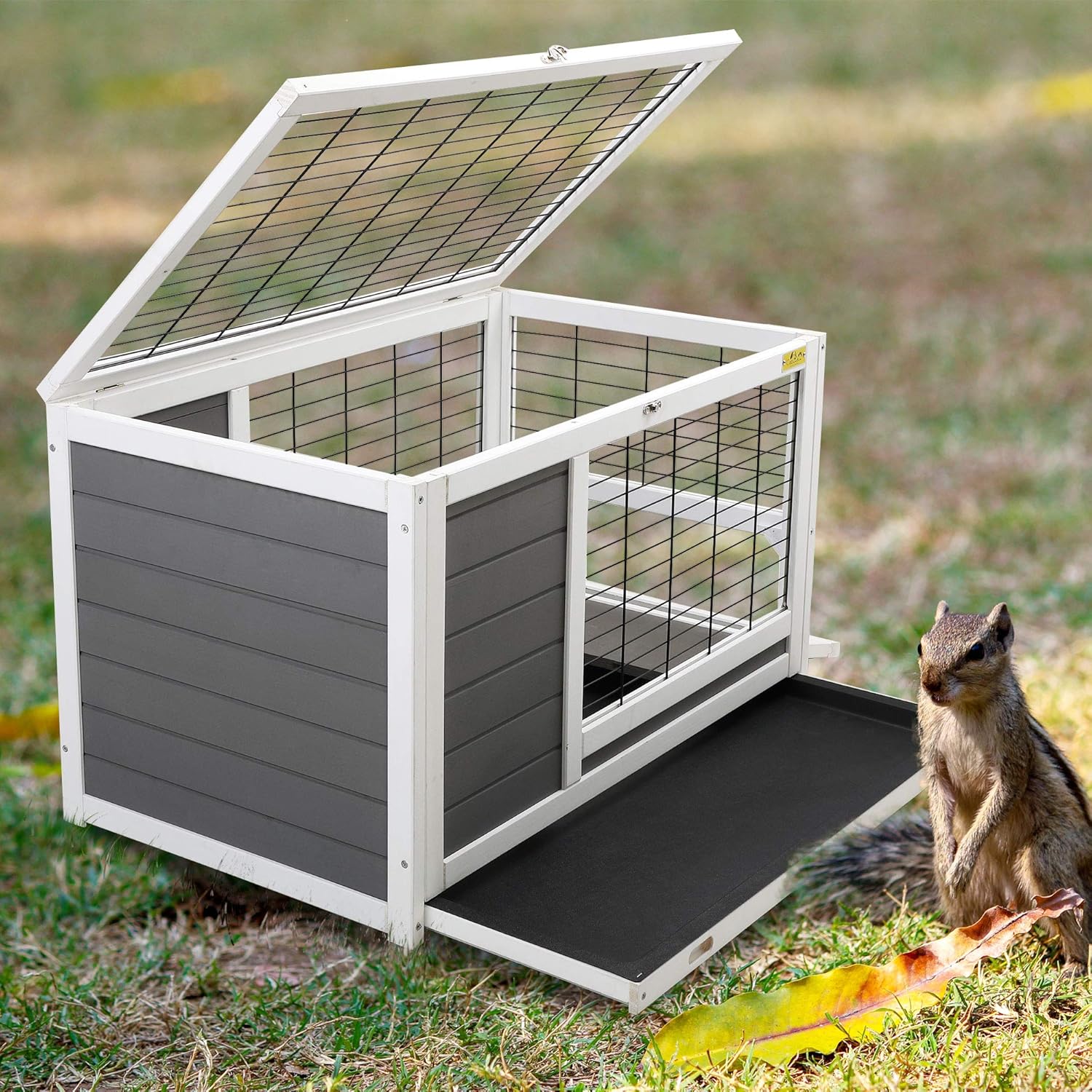 rabbit hutch for tortoise