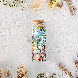 3PC100ML Empty Glass Jars with Cork Stoppers for