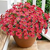 Daisy Artificial Flowers for Outdoors Decoration, 6 Bundles Fake Plants Flowers Bouquet Faux Flowers for Outdoor Planter Look Real UV Resistant Silk Flowers for Outside Front Door Porch Patio, HotPink