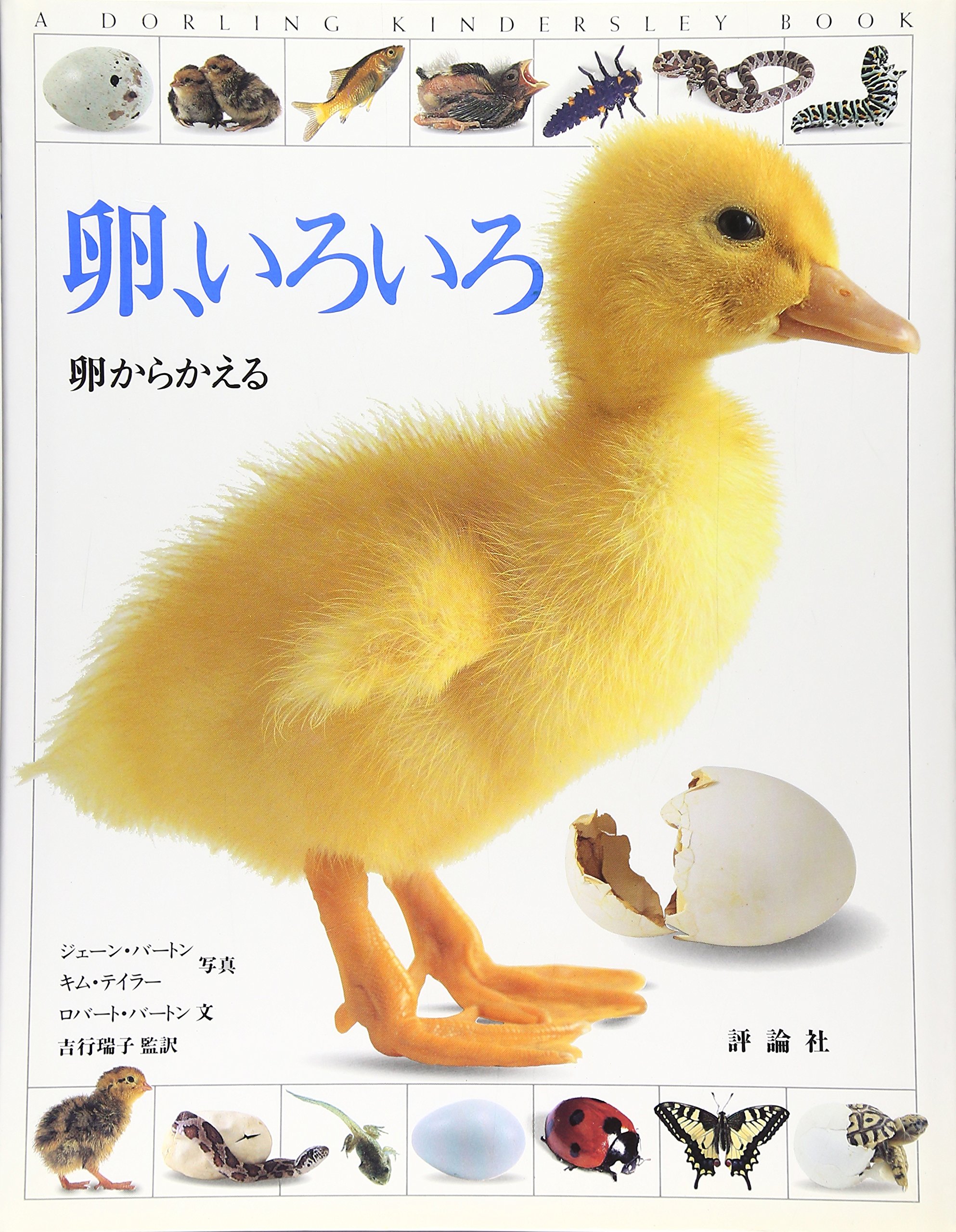 卵 いろいろ 卵からかえる 児童図書館 科学の部屋 ロバート バートン Robert Burton Jane Burton Kim Taylor ジェーン バートン キム テイラー 吉行 瑞子 本 通販 Amazon