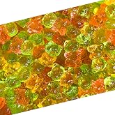 Sugar Free Gummy Bears, Sugar Free Candy, Fruit Flavors, 1 Lb Bag | 3D Bears, Sugarless Gummies, Soft Bite