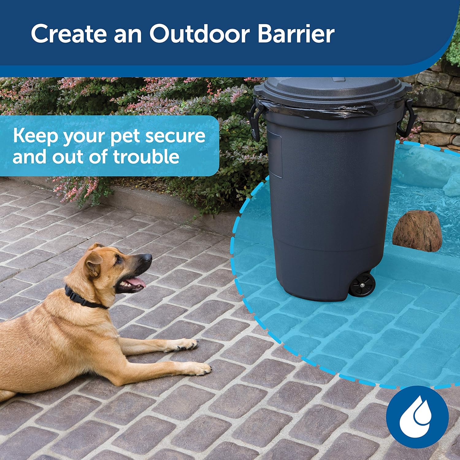 barrier to keep dog out of pool