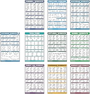QuickFit 10 Pack - Exercise Workout Poster Set - Bodyweight Volume 1& 2, Dumbbell, Suspension, Kettlebell, Resistance Bands, Stretching, Barbell, Yoga Poses, Exercise Ball