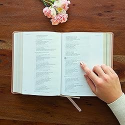 Personalized CSB Bible, Pink, Custom Holy Bible