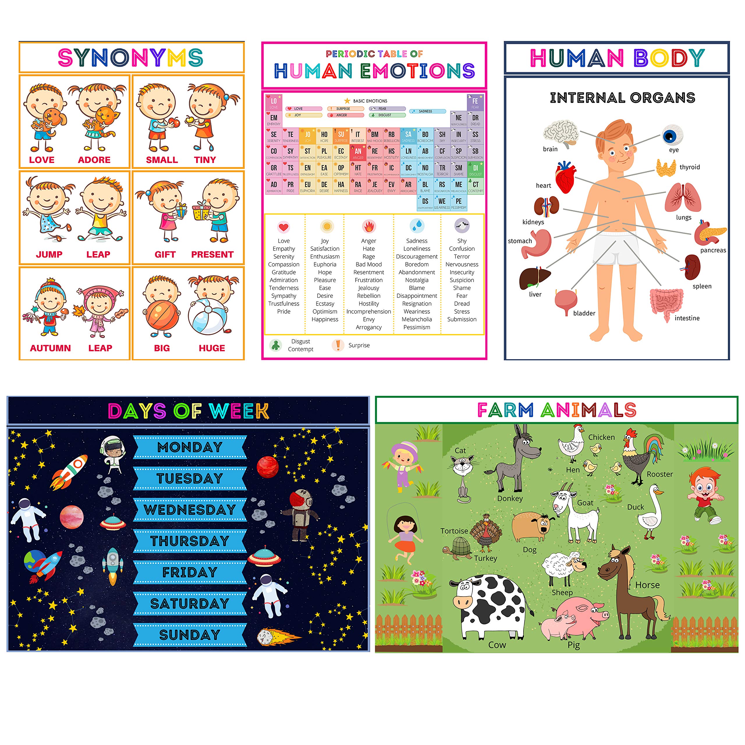 SPORTAXIS- Educational Posters for Kids- Preschool Learning Posters- Kindergarten Home School- A3 Posters (11.7 x 16.5 inches) (Pack of 5) (Style B)