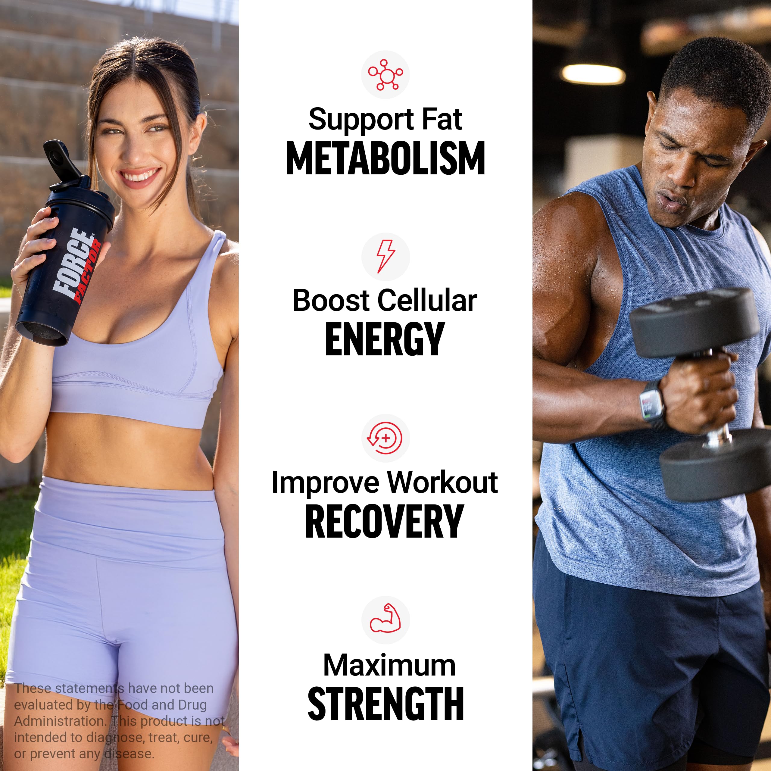 Force Factor L-Carnitine Liquid 3000mg, Maximum Strength Supplement to Support Fat Metabolism, Cellular Energy & Muscle Recovery, High Absorbing, Non-GMO, Berry Flavor, 16 oz Bottle