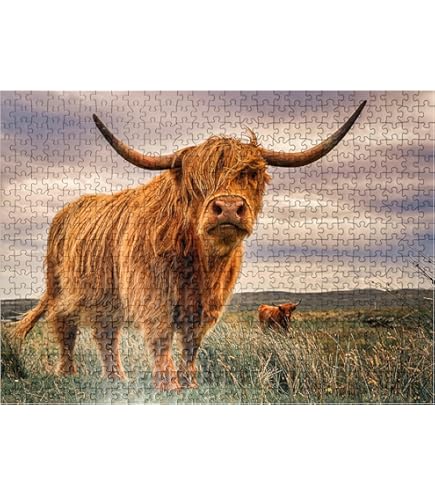 8-Quart Digital Air Fryer