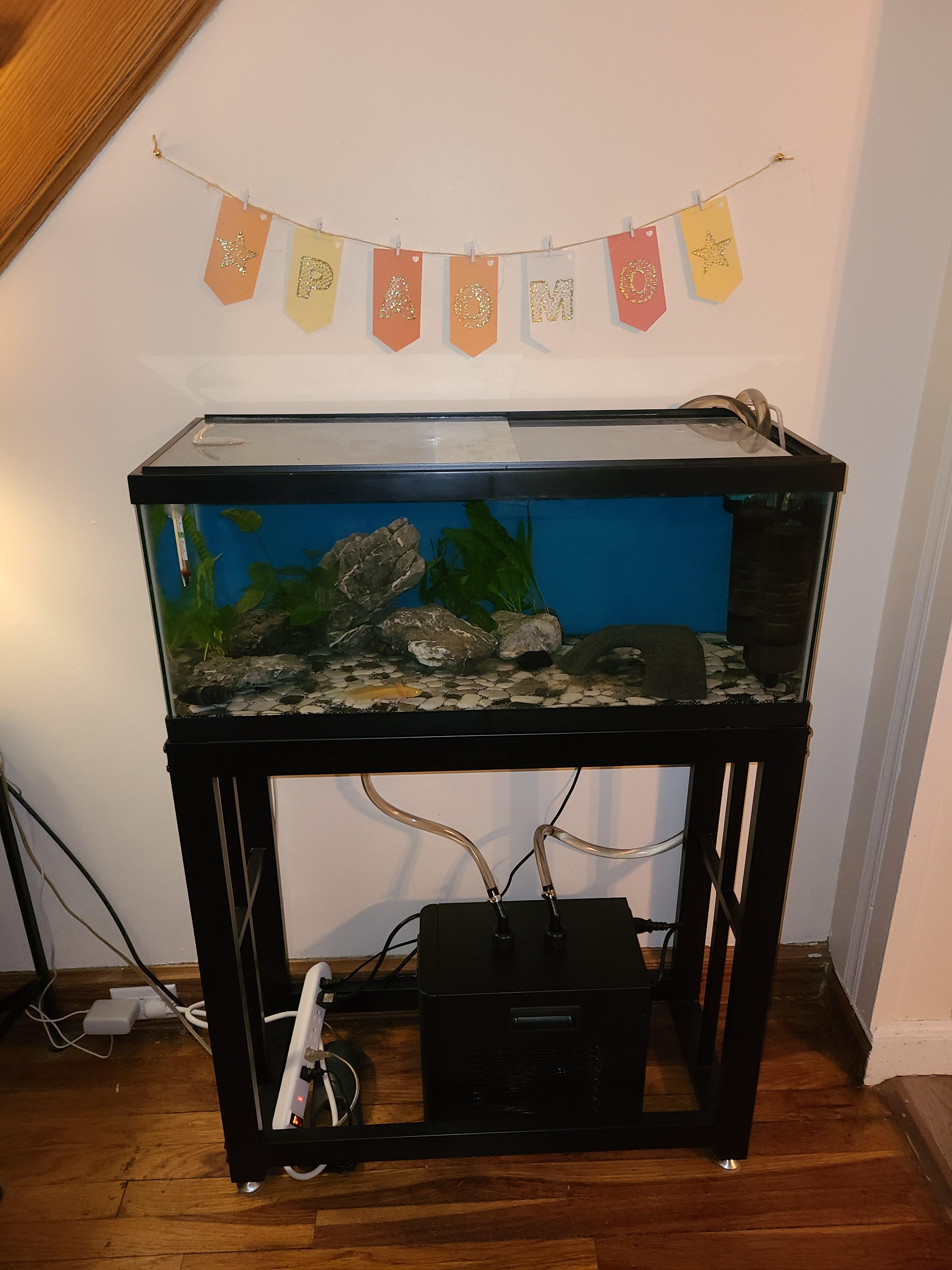 42/mo Finance BAOSHISHAN Aquarium Chiller 42gal 1/10 HP Water Chiller for Hydroponics System