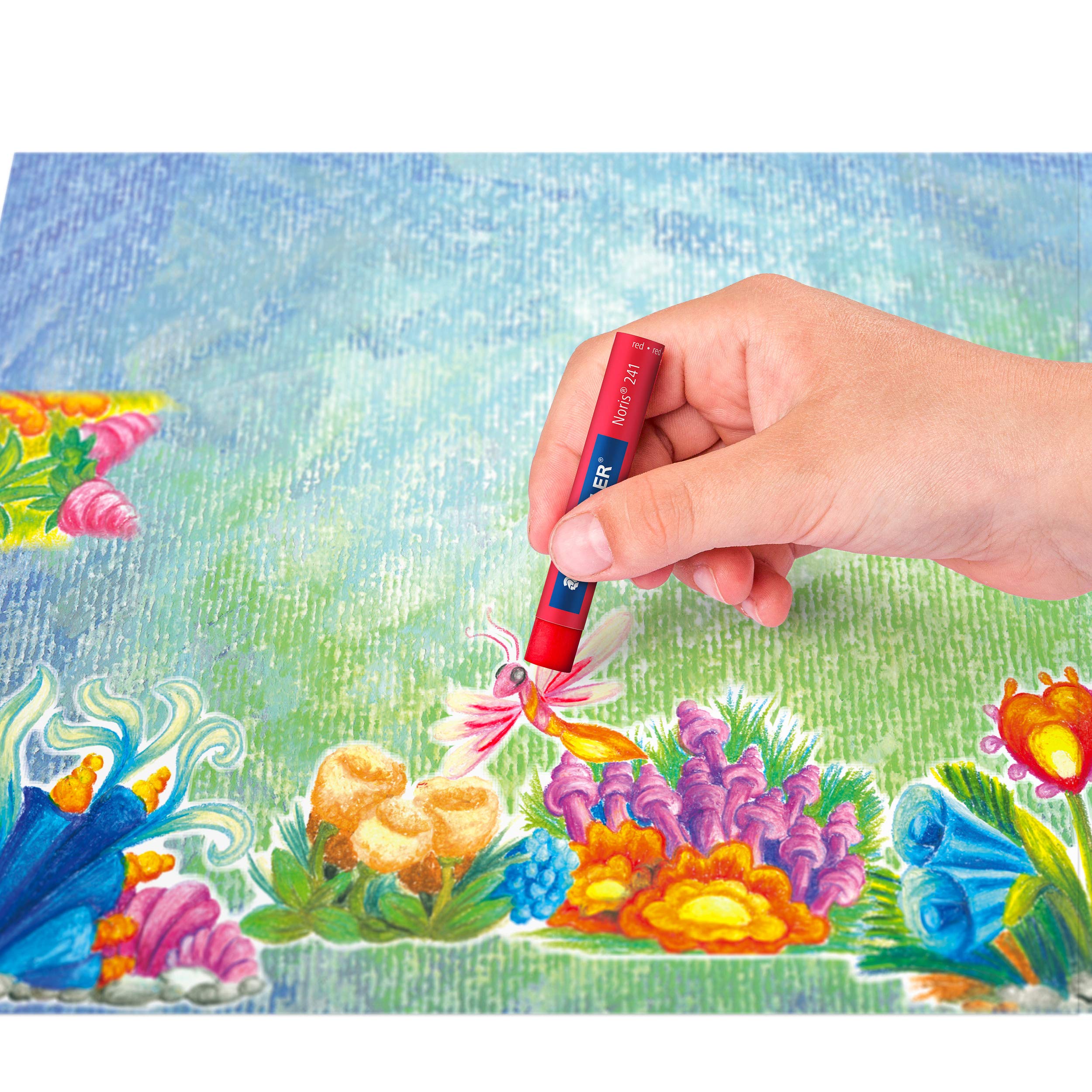 STAEDTLER 241 NC12 Ölpastellkreide Noris Club, 12 Stück im Etui 4