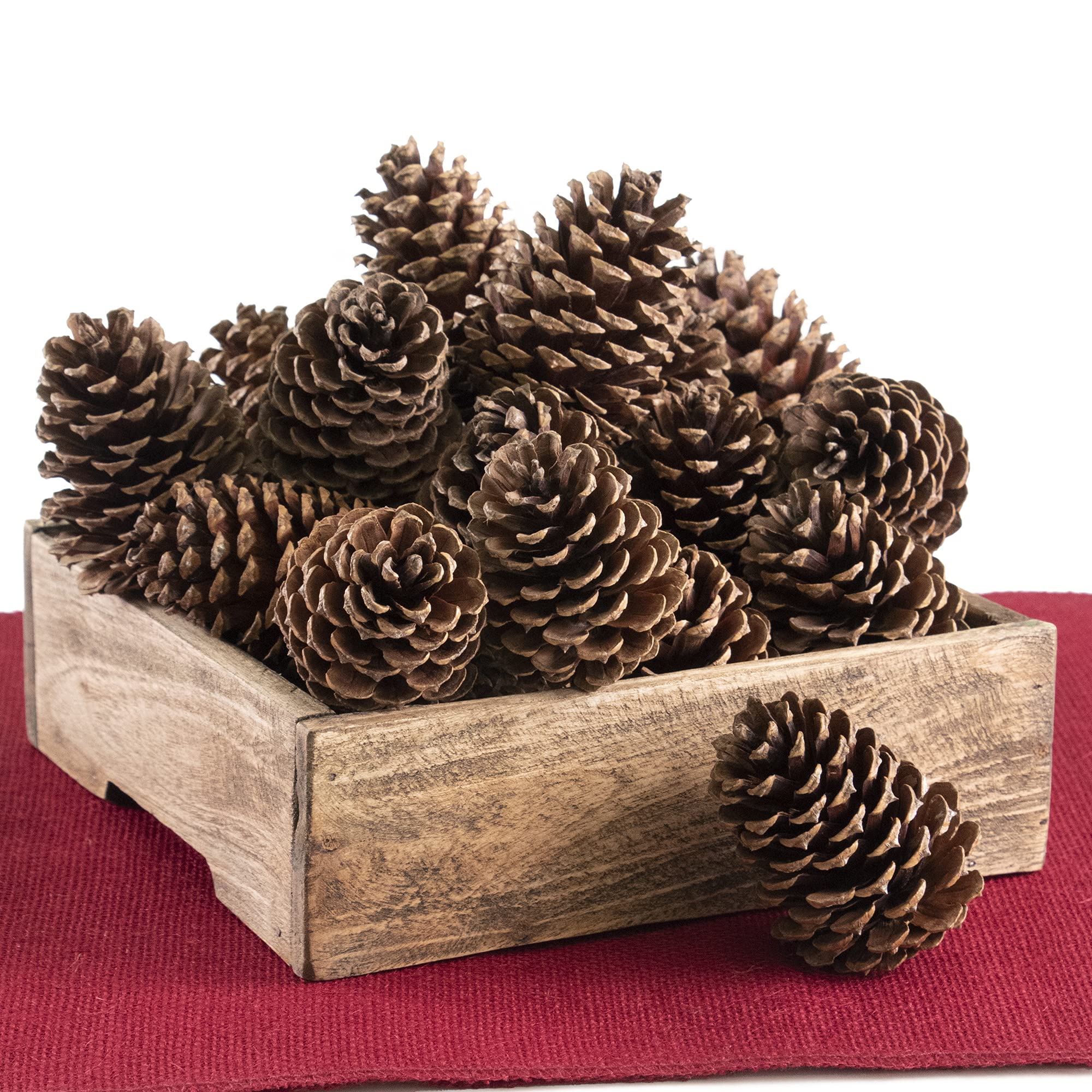 ANDALUCA Pinecone Vase & Bowl Fillers | Scented Pine Cones Decor (Natural)