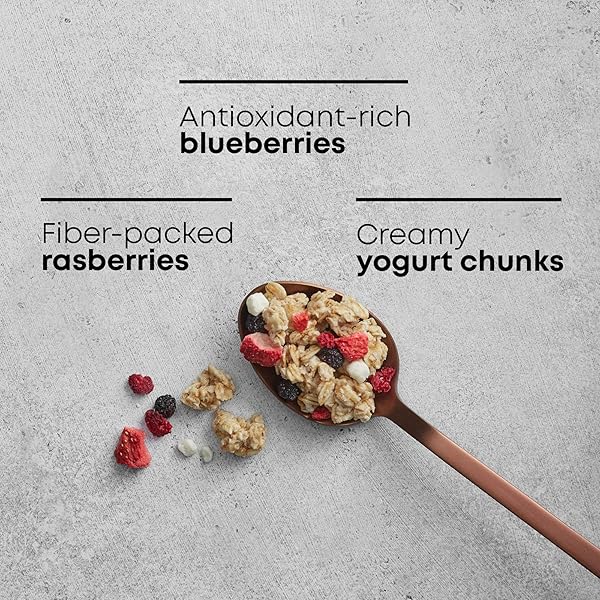 NATURE’S PATH ORGANIC GRANOLA, SUMMER BERRIES, 11 OZ POUCH
